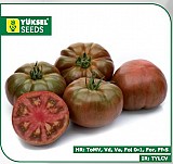 Bucanero Tomato Seeds Specialties