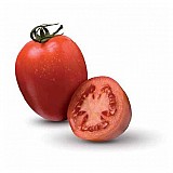 Byelsa Tomato Seeds Specialties