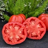 Corazon Tomato Seeds Marmande