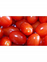 Ornela F1 Tomato Seeds Plum