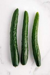 Sweetcrock(TSX-CU237) Cucumber Seeds