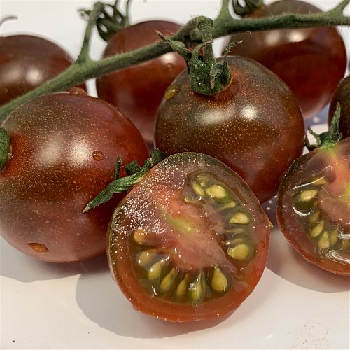 SPECIALTIES - Brown Cherry Tomato Seeds Specialties - 250 seeds