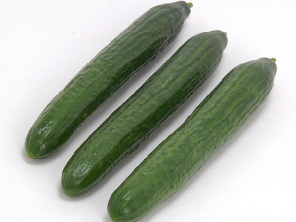 Pharo Cucumber Seeds Short