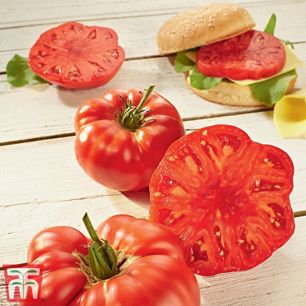 Buffalosteak F1 Tomato Seeds Marmande