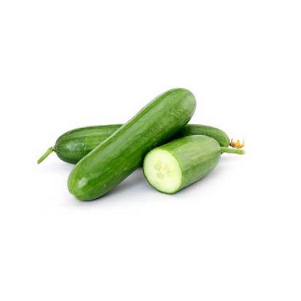 Dacnis F1 Cucumber Seeds Short