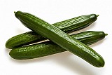Plexor Cucumber Seeds 100 seeds