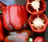 Chouca Pepper Seeds Blocky Green Red