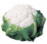 Thalassa Cauliflower Seeds Standard