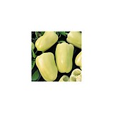 Blondy Pepper Seeds Blocky Yellow