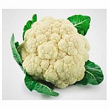 Cozia Cauliflower Seeds Standard