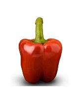Ofek Pepper Seeds 1000 seeds