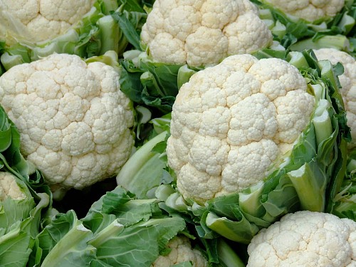 STANDARD - Arizona Cauliflower Seeds Standard - 2500 seeds