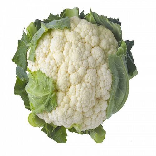 STANDARD - Adelanto Cauliflower Seeds Standard - 2500 seeds