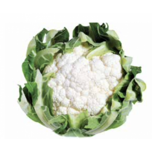 STANDARD - Alfeen F1 Cauliflower Seeds Standard - 2500 seeds