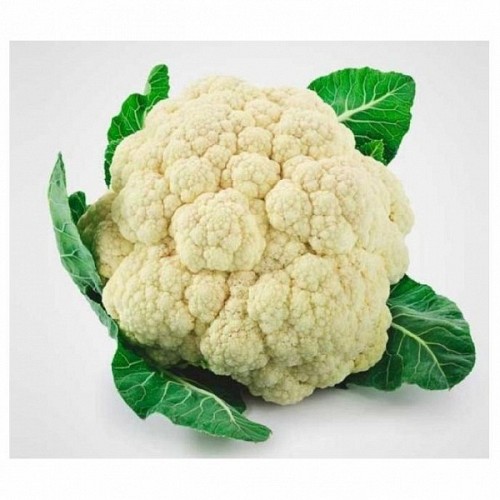 STANDARD - Cozia Cauliflower Seeds Standard - 2500 seeds