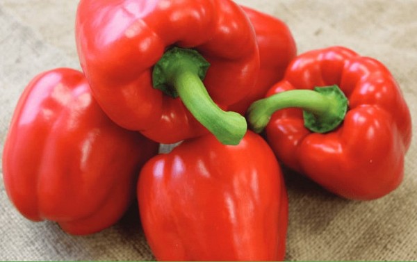 Maduro Pepper Seeds Blocky Green Red