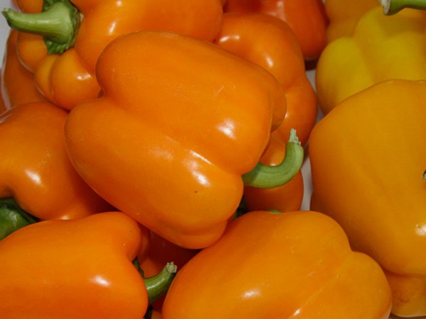 Milena F1 Pepper Seeds Blocky Orange
