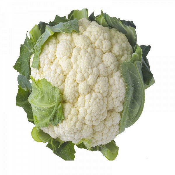 Adelanto Cauliflower Seeds Standard