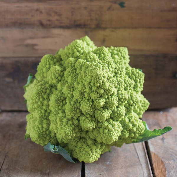 Puntoverde Cauliflower Seeds 2500 seeds