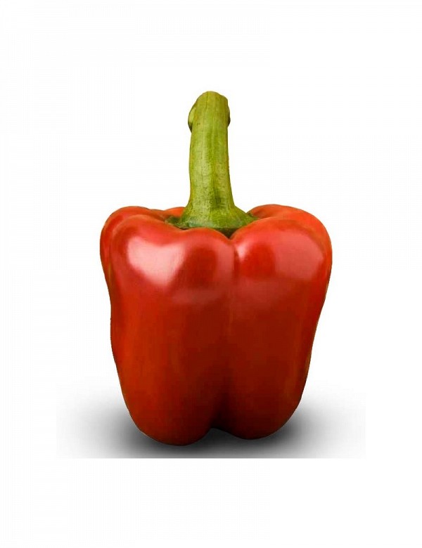 Maestral Pepper Seeds Blocky Green Red