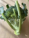 Naxos Broccoli Seeds 10.000