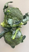 BR212 Broccoli Seeds