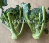 Naxos Broccoli Seeds 10.000