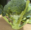 Naxos Broccoli Seeds 10.000