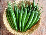 TSX-187 Pepper Seeds Charleston Hot