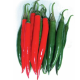 Big Daddy F1 Pepper Seeds 500 seeds