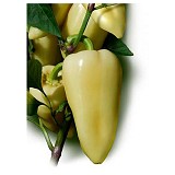 Emese Pepper Seeds Kapia Sweet