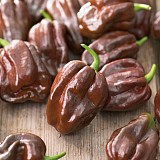 Habanero Brown Pepper Seeds Hot