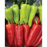 Konventa Pepper Seeds Kapia Sweet