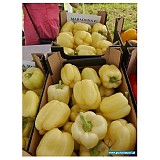 Maradona Pepper Seeds Blocky Creamy