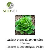 Morales (P) Lettuce Seeds Romana