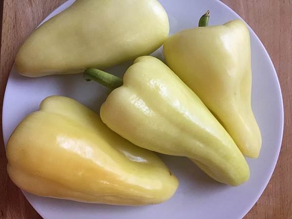 Antal Pepper Seeds Kapia Sweet
