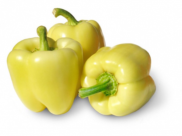 Apollo Pepper Seeds Blocky Creamy