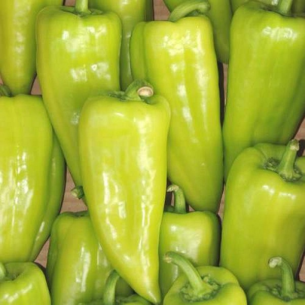 Editta Pepper Seeds Kapia Sweet