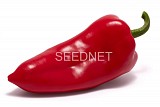 Krypton Pepper Seeds 1000 seeds