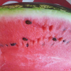 Malibu Watermelon Seeds
