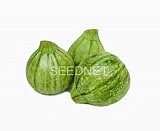 Boldenice F1 Zucchini Seeds 250 seeds