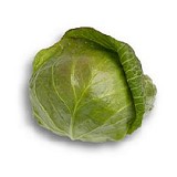 Selma Cabbage Seeds White