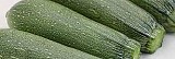 San Martin Zucchini Seeds Standard
