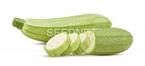 Ardendo Zucchini Seeds Standard