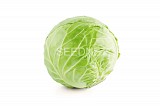 Constable F1 Cabbage Seeds White