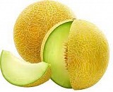 Brisa F1 Melon Seeds Galia