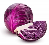 Red jewel Cabbage Seeds Red