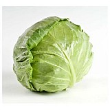 Svirel Cabbage Seeds White