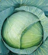 Oriental Super Cross F1 Cabbage Seeds 2500 seeds