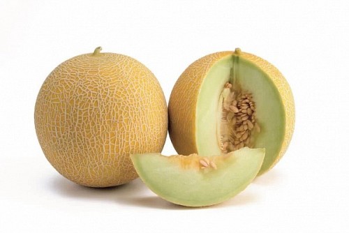GALIA - Tracey Melon Seeds Galia - 500 seeds